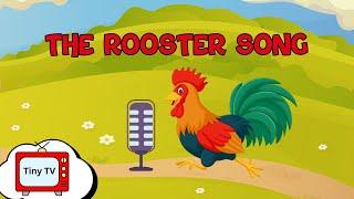 The Rooster Song | Tiny TV Nursery Rhymes & Kids Songs