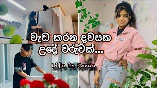 උදේම මගෙන් බැනුම් අහන්නේ කවුද බලන්නකෝ  | Morning Vlog | Working Day | sinhala vlog