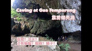 Caving at Gua Tempurung, Perak 霹靂椰殼洞探險記