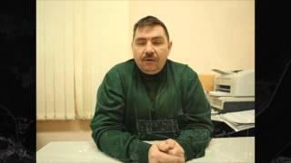 Тольяттинский лес