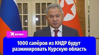 Шойгу сообщил, что КНДР направит 5000 строителей на восстановление Курской области
