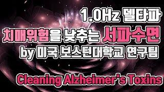 서파수면 뇌파소리 | 1.0 Hz 델타파 - '치매위험을 낮추는 서파수면' | 1.0 Hz EEG - Slow-wave Sleep for preventing Alzheimer's