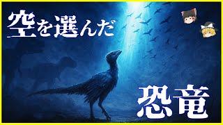 【ゆっくり解説】「鳥」はなぜ“飛ぶ”ことを選んだのか？鳥類の飛行の進化と戦略を解説/空を選んだ恐竜の「羽ばたき」の進化的意味とは…翼の構造と空気力学