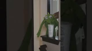 Kermit, don't drink that!