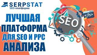 Обзор платформы для SEO продвижения Serpctat | сервиса для PPC специалистов серпстат | seo tools