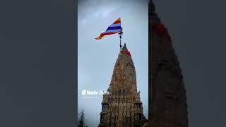 Radha Raman hare hare Indreshji Upadhyay #pujysriindreshupadhyayjimaharaj #indreshupadhyayji
