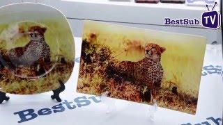 How to Print 5.9''*9.45'' Glass Plate from BestSub