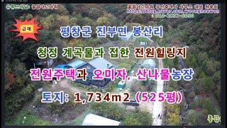 (급매) 평창군 진부면 봉산리 청정계곡물과 접한 전원주택과 오미자농장 토지 525평 (협의가능)