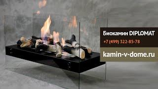 Биокамин DIPLOMAT от BioKer, kamin-v-dome.ru