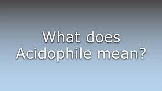 What does Acidophile mean?