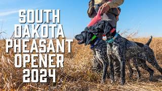 South Dakota Pheasant Opener 2024 - WHAT YOU NEED TO KNOW!