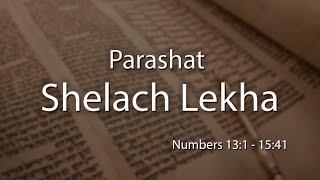 Messianic Torah Cycle Readings--2019-2020:  Shelach Lekha