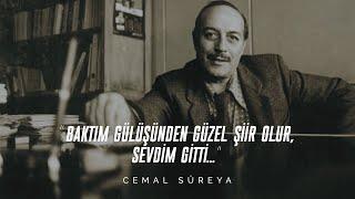 Cemal Süreya - I Looked A Beautiful Poem From Your Smile, I Loved It and It's Gone