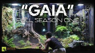 "GAIA" Full Season One Compilation - The AntsCanada Ecosystem Vivarium Series