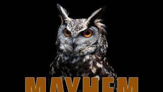 MAYHEM - DA UNSIGNED ARTIST X FOX