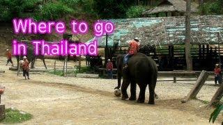 Visit Maesa Elephant camp(and learn some Thai words too!!)