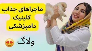 ولاگ در کلینیک دامپزشکی چه می‌گذرد؟! | پارت 2