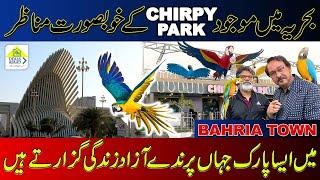 Beautiful Chirpy Park In Bahria Town Karachi | Precinct 12 | Beautiful Birds | Chirpy Park