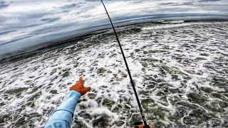 This Gully Was Full of Fish! (Surf Fishing)