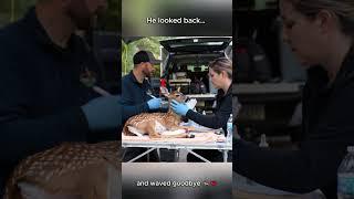 He looked back… and waved goodbye 