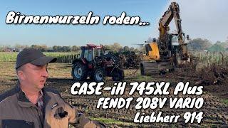 Obsthof Raddatz - Birnenwurzeln roden | CASE-iH 745XL Plus | Liebherr 914 | FENDT 208V VARIO