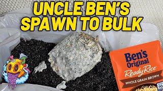 Uncle Ben's Tek Spawn To Bulk - Uncle Ben's Tek S4 EP2