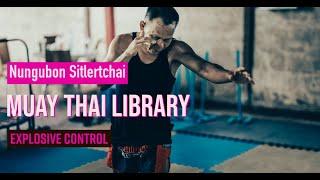 Nungubon Sitlertchai - Slow Motion Shadowboxing