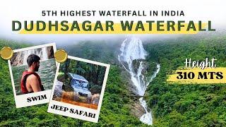 Dudhsagar Waterfall Goa | Jeep Safari Dudhsagar Falls