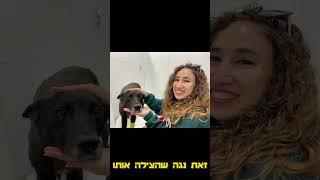 מי מאמץ את זיק?