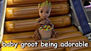 baby groot being adorable