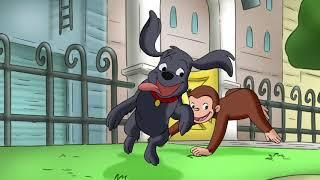 Relax! Curious George Kids Cartoon Kids Movies Videos for Kids