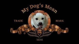 Unveiling my dog as the new face of MGM