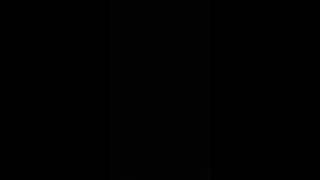literally nothing here