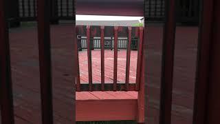Deck Staining
