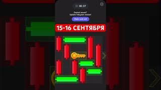 15-16 сентября HAMSTER KOMBAT ключ, мини игра хамстер комбат, шифр, разгадка хомяк #хамстер #ключ