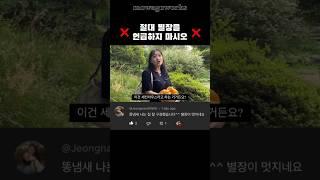 절대 별장을 언급하지 마시오 #세컨하우스 #페이크다큐 #코미디 #모와고 #shorts