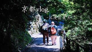 京都VLOG｜就像做了一场沉浸在绿色世界的梦｜三千院 三十三间堂 贵船神社 下鸭神社｜叡山电车｜南蛮炸鸡or炸猪排？