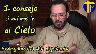 Evangelio de hoy 10 noviembre 2024. Padre David de Jesús. Domingo 32 Tiempo Ordinario (Mc 12,38-44)