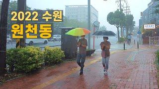 여름 수원 원천동 폭우 빗소리 ASMR 산책 Walk on Suwon in the heavy rain【4K】