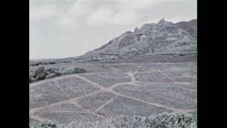 Hawaiian Islands - their Chief Industries (1951)