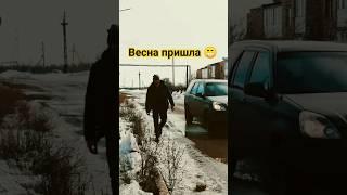 Вот мы и дождались новую весну... #весна #апрель #антонаполлонов #