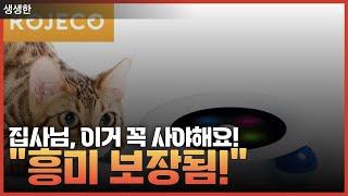 "고양이 행복 지수 UP! 인기 장난감 3가지 소개"