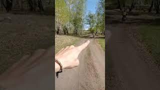 в компании бегать куда веселее #коркино #бег #irun #сынибег