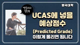 UCAS에 들어갈 예상성적(Predict grade) 올리기