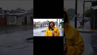 New York City #FunnyVideos #DogHumor #PizzaThief #LOL #RelatablePets #FYP #virallaughs