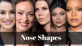 How To Contour Different Nose Types With Examples