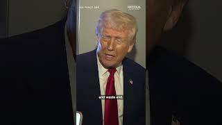 Trump praises Musk, suggests extended role at Department of Government Efficiency