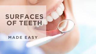 Introduction to Surfaces of Teeth