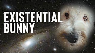 Bunny The Talking Dog Has Existential Thoughts