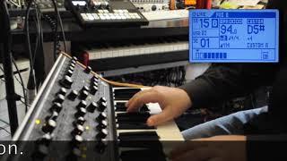 Squarp Pyramid Programming Evolving Chord Progression